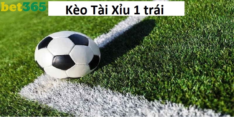 Các loại kèo tài xỉu